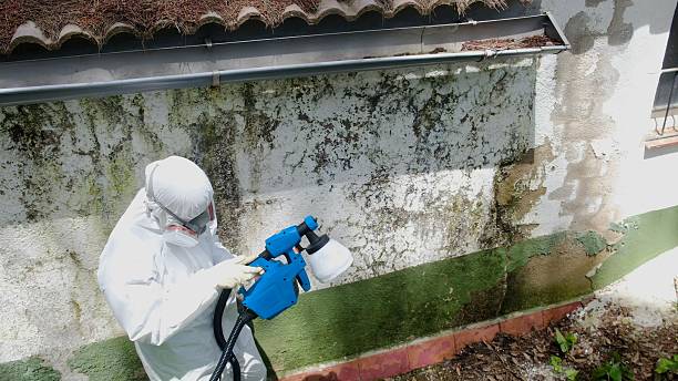 Trusted Bathroom Mold Removal service in Ellenton, FL - Cheap Mold Removal